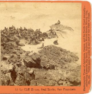 At The Cliff House,  The Seal Rocks,  San Francisco,  Cal.  - - Stereoview D76