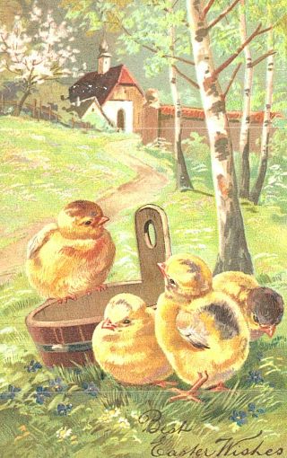Vintage Postcard - Best Easter Wishes,  Little Chicks Playing,  Embossed