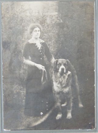 Antique Cdv Cabinet Card Of A Victorian Woman & Her Dog - Uk Dealer