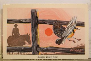 Kansas Ks State Bird Western Meadowlark Postcard Old Vintage Card View Standard