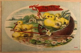 Vintage Postcard Easter Yellow Chicks In Egg Floating On River Early 1900s