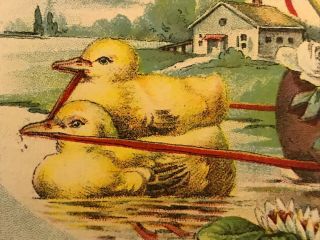 VINTAGE POSTCARD EASTER Yellow Chicks In Egg Floating On River Early 1900s 2