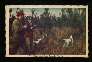 East Rainelle Wv West Virginia Hunting Gun Guns Dogs Vintage Greetings Postcard