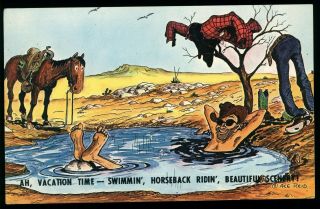 Cowboy Swimmin Hole Horse Funny Vacation Old Ace Reid Cowpokes Comic Postcard
