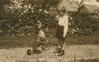 Boy Teaching Dog Tricks Fun Antique Photo