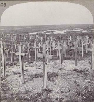Bernafay Wood Captured By The 9th Division.  The Cemetery Near Montauban,  Picardy