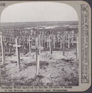 Bernafay Wood Captured by the 9th Division.  The Cemetery near Montauban,  Picardy 3