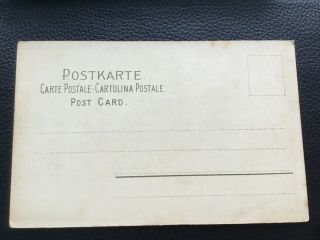 C.  KLEIN MEISSNER & BUCH Redcurrants CHROMO 1900s Vintage POSTCARD 23/9 2