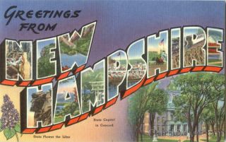 Greetings From Hampshire Tichnor Large Letter Linen Postcard Vintage