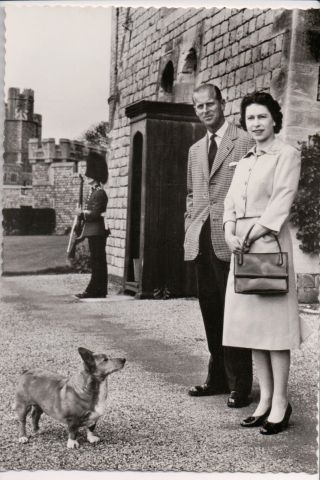 Vintage Postcard Queen Elisabeth Ii Prince Phillip & Royal Family Great Britian