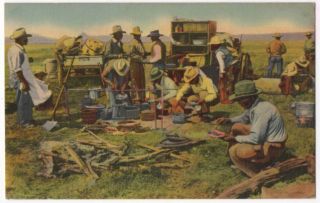 032521 Cowboys Eat By Chuck Wagon On The Range Vintage Linen Postcard