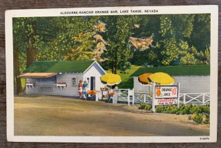Vintage Postcard Albourne Lake Tahoe Sierra Nevada Orange Juice Bar Memorabilia
