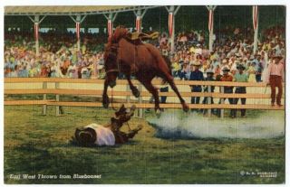092911 Cowboy Earl West Thrown From Bucking Bronco Rodeo Vintage Linen Postcard