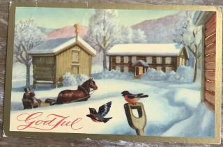 Vintage Swedish Christmas Postcard God Jul Horse Sled Birds Sweden