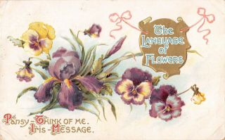 Language Of Flowers On Old Postcard - Pansy - Think Of Me,  Iris - Message