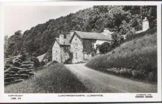 Llechweddygarth,  Llangynog.  Vintage Real Photo Postcard.  Uk Postage