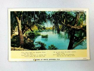Vintage Postcard Scene On The Suwannee River White Springs Fl Florida