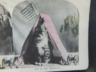 Antique Stereoview Card Cat Of The Regiment Civil War Flag Cannon Hand Colored