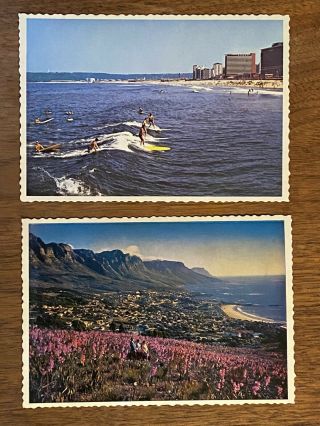12 Vintage Postcards South Africa Cape Town Zulu Lion Elephant Durban Ndebele