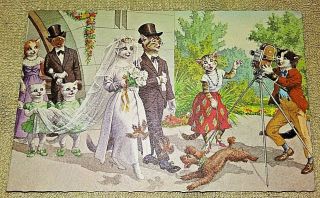 Vintage Alfred Mainzer Cat Kitten Postcards Wedding Marriage Love Unmarked