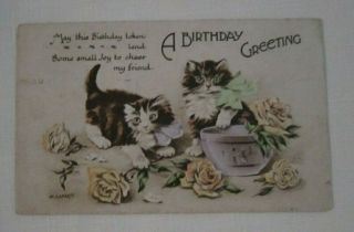 Cats Birthday Greetings Vintage Postcard - Kittens With Bows Signed M.  Laporte