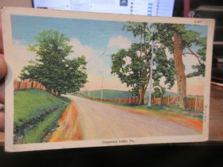 Vintage Old Pennsylvania Postcard Conneaut Lake Park Country Highway Road Lane