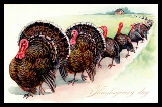 Thanksgiving Day Parade Of Turkeys Tuck 