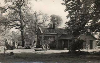 Hertfordshire Hatfield Forest Essex Old Shell House National Trust Postcard Rp