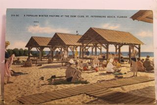 Florida Fl St Petersburg Beach Surf Club Winter Pastime Postcard Old Vintage Pc