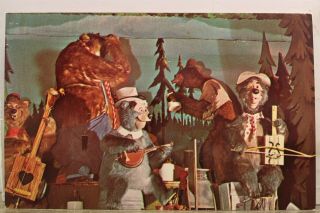 Walt Disney World Country Bear Jamboree Postcard Old Vintage Card View Standard