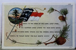 North Carolina Nc Land Of Long Leaf Pine Postcard Old Vintage Card View Standard
