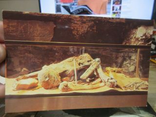 Vintage Old Kentucky Postcard Mammoth Cave National Park Mummy Adena Indian Mine