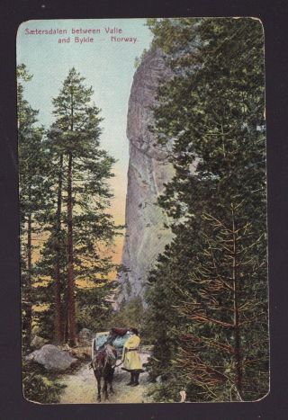 Old Vintage Postcard Of Sætersdalen Between Valle And Bykle Norway