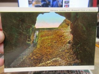 Vintage Old Kentucky Postcard Mammoth Cave Entrance Steps Going Into The Earth