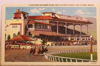 Mexico Tijuana Agua Caliente Jockey Club House Grand Stand Postcard Old Vintage