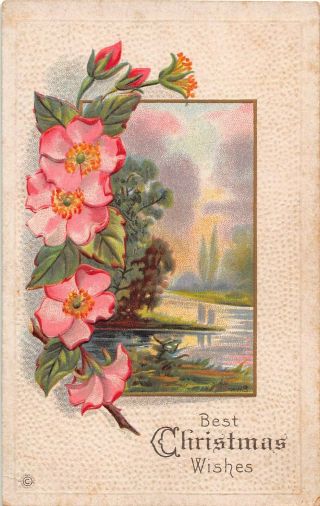 Wild Roses By River Scene On Old Stecher Christmas Postcard - Series 14xe