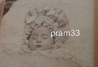 Post Mortem Antwerp Belgium Funeral Photo Large Lace Bonnet Baby Girl