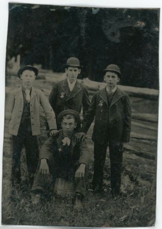 Outdoor Group Young Men Bowler Hats Badges Tintype Antique Photo