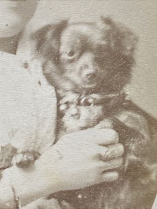 Victorian Carte De Visite CDV: Elegant Lady Small Dog Collar: Downey: London 3