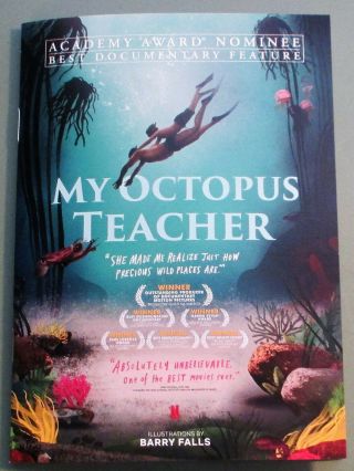 My Octopus Teacher 2020 Documentary Rare Illustrated Pressbook/coloring Book
