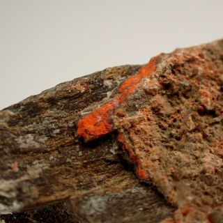 Minium Red - Orange Crust On Matrix Rare Stribro (mies),  Czech Republic