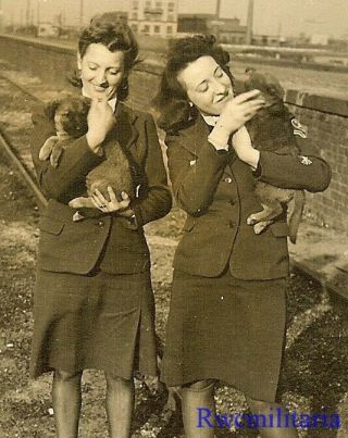 Rare Female Uniformed Wehrmacht Blitzmädel Helferin Girls Holding Puppies