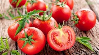 100 Rare Zaltava Tomato Seeds,  Heirloom,  Organic,  Non - Gmo Tasty Sauces