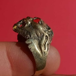 Extremely Ancient Rare Bronze Ring Lion Head Roman Legionary Artifact Authentic 3