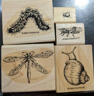 Euc Rare 1998 Stampin Up Rubber Stamps Incomplete Bugs And Slugs All Occasion