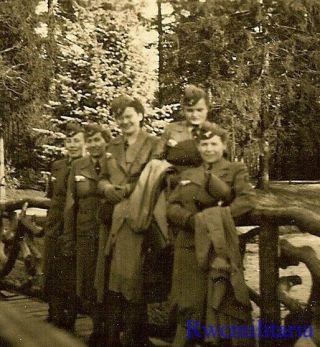 Rare Female Wehrmacht Blitzmädel Helferin Girls Posed On Path In Woods