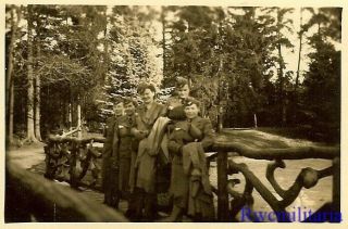 RARE Female Wehrmacht Blitzmädel Helferin Girls Posed on Path in Woods 2