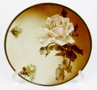Rare Antique 1908 - 1920 German Ohme Silesia Porcelain China Plate 8 1/2 " Roses