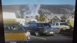 Rare 8 Home Movie Film Reel Yellowstone Park Buffalo Moose Bear M31