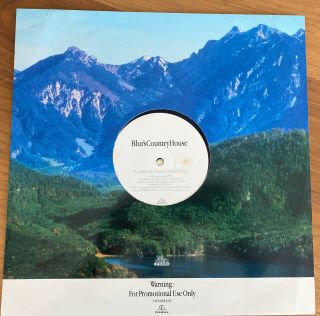 Rare Blur Promo Only 12” Vinyl Single Sided “country House” Custom Artwork